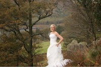 Andrew Cammiss Photography 1099712 Image 1